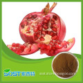 Food grade natural dried pomegranate powder
